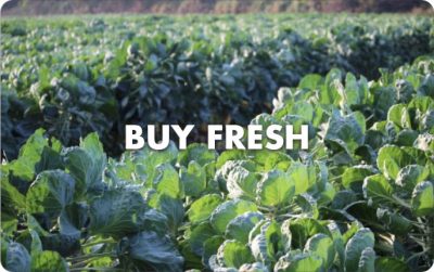 buy fresh